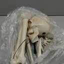 JOYIN 5 Pcs Halloween Skeleton Decorations Outdoor, LED Life Size Skeleton Yard Stakes, Light Up Full Body Realistic Skulls Decor for Graveyard Yard Lawn Garden Holiday Party Decoration