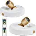 Wireless Spotlight Battery Operated with Remote Control, 2-Pack Under Cabinet Closet Light with Timer Function for Under Counter, Shelf, Bookcase, Cabinet, Paintings, Pictures, Accent