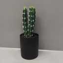 SEEKO Succulents Fake Cactus (10.5') - Realistic Cactus Plant Decor for Dorm, Desk, Shelf or Office (Black Pot)
