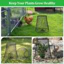 Therwen 10 Pcs Large Plant Wire Cloche 11 x 12 Inch Metal Garden Cloche with Garden Stakes Plant Protector from Animals for Keeping Bunnies Chicken Squirrels Birds (Black)