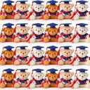 Zomiboo 24 Pcs 2026 Graduation Bears Bulk 3.54 Inches Mini Graduation Plush Tiny Bear Grad Stuffed Animals with Cap for Ceremony Party Gifts(Blue Cap)