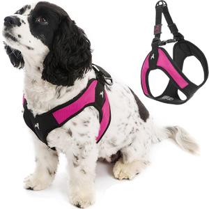Gooby Escape Free Easy Fit Harness - Hot Pink, Medium - No Pull Step-in Patented Small Dog Harness with Quick Release Buckle - Perfect On The Go No Pull Harness for Small Dogs or Medium Dog Harness (Medium chest (18~21.75"))