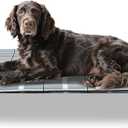 Elevated Raised Outdoor Dog Bed - Cooling Lifted Outside Dogs Cot Bed with Non-Slip Feet Dog Hammock Bed with Stainless Steel Frame Portable Puppy Pet Bed for Indoor & Outdoor ((M-):34'' x 20'' x 6'')