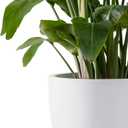 Kante 14 Inch Dia Round Concrete Planter, Indoor Outdoor Large Plant Pot with Drainage Hole and Rubber Plug for Home Patio Garden, Pure White