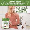 Whimzees Wellness Variety Pack Dog Dental Treat, Chews, Freshens Breath, Medium Size, 29.6 oz Box, 28 Count