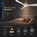 52 Inch Modern White and Gold Ceiling Fans with Lights and Remote