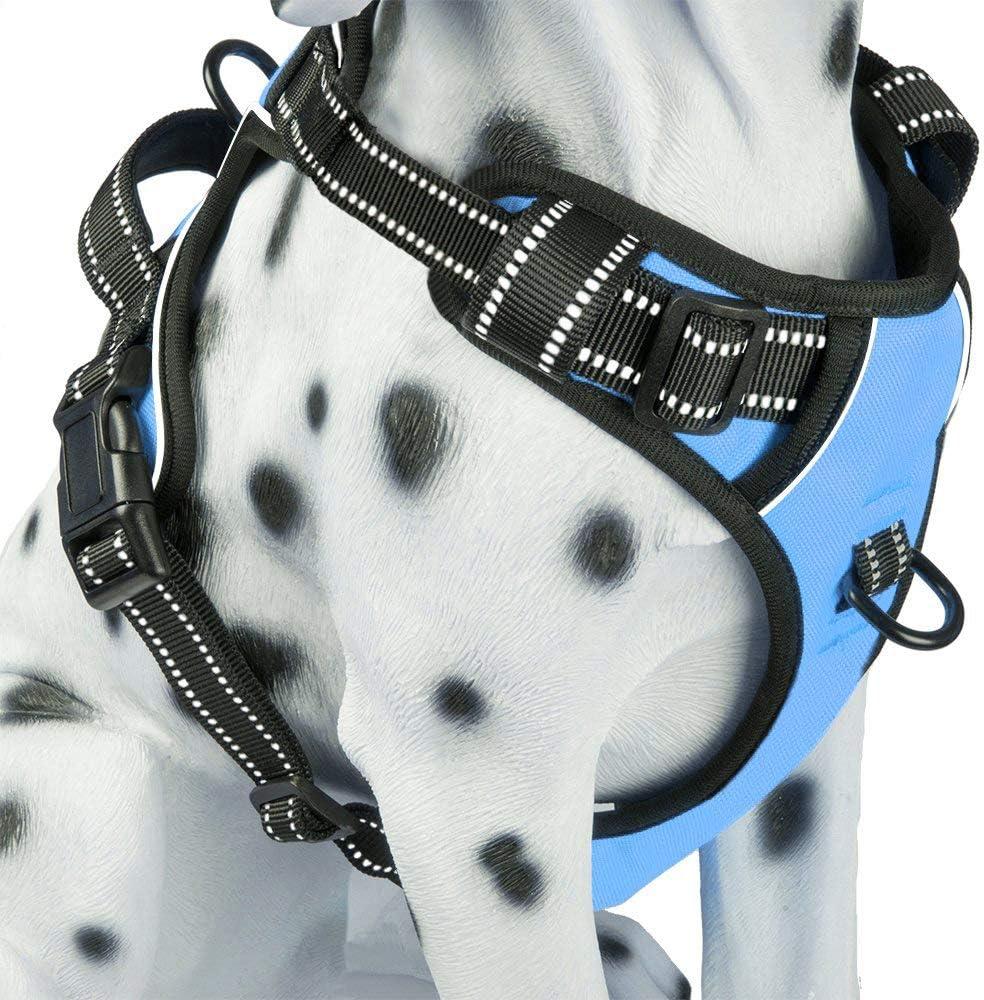 PoyPet No Pull Dog Harness, Reflective Comfortable Vest Harness with Front & Back 2 Leash Attachments and Easy Control Handle Adjustable Soft Padded Pet Vest for Dogs (Light Blue,XS)