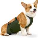 Waterproof Corgi Raincoat - Lightweight Dog Bellyband & Protector, Breathable, Anti-Dirty Puppy Outfits(Green, 2XL)