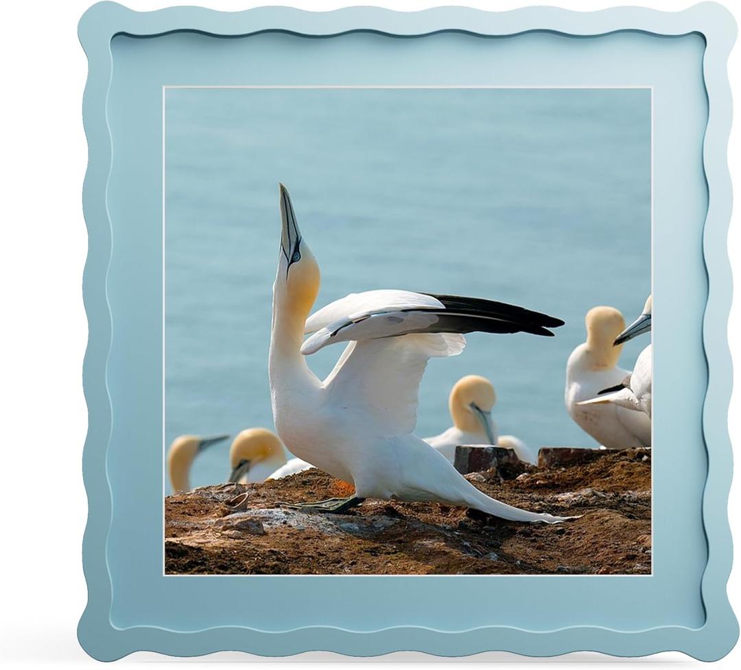 12x12 Picture Frame with Mat for 10x10, Wavy Edge Wooden Real Glass Photo Frame for Wall Hanging, Blue, 1 Pack