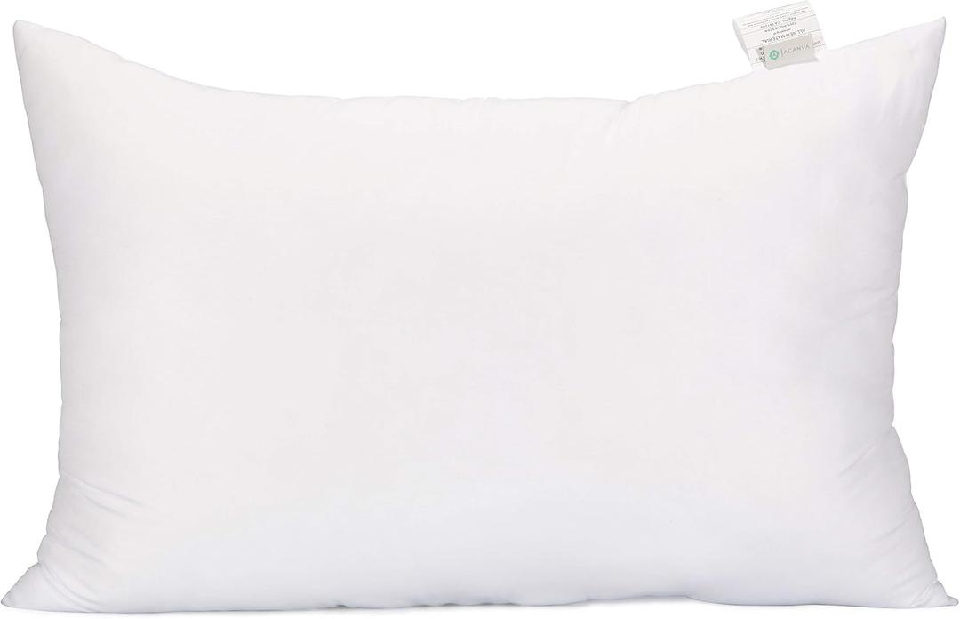 Acanva Fluffy Pillow Insert for Bed Sleeping, Decorative Stuffer Cushion Sham Filler, Standard 20x26 (Pack of 1), White