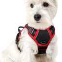 rabbitgoo Dog Harness No Pull with 2 Leash Clips, Adjustable Soft Padded, Reflective Oxford No Choke Pet Vest with Easy Control Handle for Puppy, Black & Red, XS