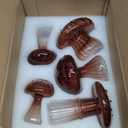 Hewory Glass Mushroom Vase for Flowers, 5pcs Clear Small Bud Flower Vases Unique, Mushroom Propagation Hydroponic Vases, Funky Cottagecore Decor for Home Room Kitchen Office Windowsill Decorations