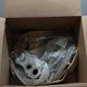 PHILTOP 1PC High Flow Catalytic Converter for 2002-2006 Camry 2.4L, 2002-2006 Solara 2.4L, Automotive Replacement Catalytic Converters OEM 16384, 250510H010 (EPA Compliant)