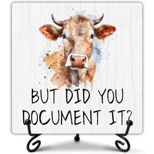 2 x Funny Office Decor, But Did You Document It Sign with Stand, Cute Desk Decor, Inspirational Gifts for Women Men, Family Friends Colleagues, Funny Wooden Signs for Office Desk Accessories
