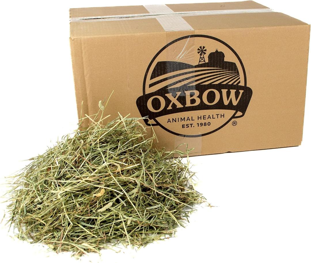 Oxbow Animal Health Western Timothy Hay, Guinea Pig Hay, Small Pet Bunny Supplies, All Natural Grass for Guinea Pig, Bunny, Chinchilla & Hamster, Oxbow Rabbit Supplies for Bunnies, 25 lb box (25 Pound (Pack of 1))