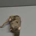 Reuben The Rat - 7 Inch Stuffed Animal Plush Mouse