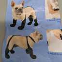 Becrown  Dog Suspender Boots, Size Large