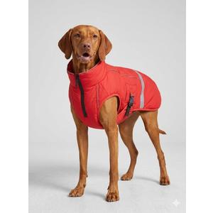 Acouto Red Dog Reflective Vest with High Visibility for Outdoor Activities and Night Walking