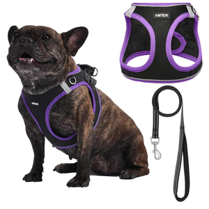 AMTOR Small Dog Harness with Leash Set, No Escape Easy Walk Puppy Harnesses for Training Walking, Step-in Reflective Soft Dogs Vest for XS S Medium Extra-Small Large Sized Dog (XS,Black/Purple)