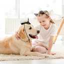 BESPORTBLE Small Dog Captain Hat for Dog: Sailor Hat Captain Costume - Marine Admiral for Puppies and Cats s for Adventures and Halloween Carnival Pet Festival