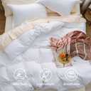 Bedsure Bright White Duvet Cover Queen Size - 3 Pieces Prewashed Extra Soft Bedding Set, Includes 1 Duvet Cover 90x90 Inches with Zipper Closure & 2 Pillow Shams, Comforter Not Included