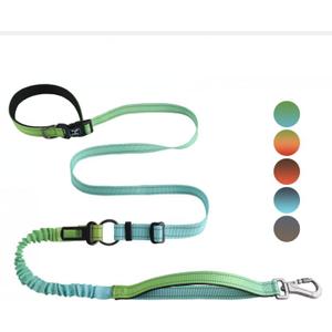 Roses&Poetry Hands Free Dog Leash for Medium Large Dogs Heavy Duty, No Pull Bungee Dog Running Waist Leash for Walking Training with Car Seatbelt 4-6FT (GreenBlue)