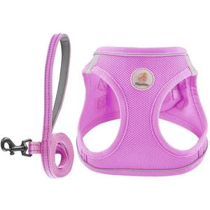 Hipubby Dog Harness and Leash Set, No Pull Soft Mesh Puppy Harness for Small Medium Dogs, Cats - Step in Reflective Breathable Lightweight Vest Harness for Walking, Training - Purple, M (M (Chest: 17.5"-19"))