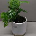 Fake Leaves Plant Pot
