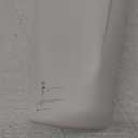 BlenderBottle Strada Shaker Cup Insulated Stainless Steel Water Bottle with Wire Whisk, 24-Ounce, White