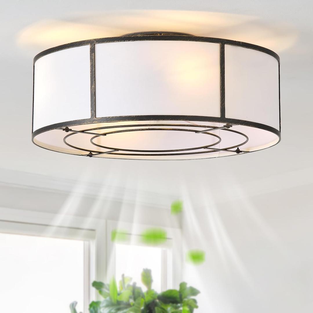Hummingbird 20inch Low Profile Caged Ceiling Fans with Lights, Flush Mount Ceiling Fan with Lights and Remote, Bladeless Modern Enclosed with 6 Speeds for Bedroom, Kitchen, Black