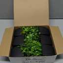 Der Rose 6 Pack Fake Plants Mini Artificial Plants for Home Office Farmhouse Bathroom Shelf Decor Indoor