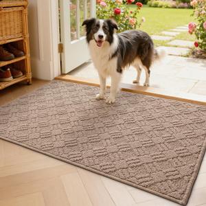 LUMI Indoor Door Mat, Absorbent Non-Slip Thin Doormat, Washable Door Mats, Woven Pattern Inside Floor Mat, Ideal for Entryway, Front Door, Home Decor, 24"x36", Woven Taupe