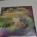 The King Is Still The King  Vinyl