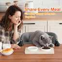 Cat Desk Bed for Large Cats 50 lbs Heavy Duty Cat Bed for Desk Attachment with Paw Design Extra-Sturdy Dog Chair Dual-Sided Mat Waterproof Easy Assembly for Gaming Desk Kitchen Island Gray