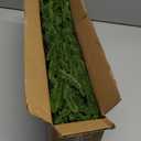 HyeFlora 17 PCS Christmas Norfolk Pine Stems with Small Pinecones and Red Berries Branches,19 Inch Real Touch Artificial DIY Greenery Pine Needles, Faux Cedar Pines Picks for Wreath Garland Xmas Dcor