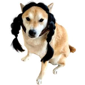 ComfyCamper Black Braided Hair Wig Headpiece Dogs Pet Gothic Girl Witch XL Cosplay Halloween Costume Christmas, M