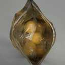 Ultrasir Rodent Repellent Balls Squirrel 12 Packs Repellent Balls Peppermint Rat Mouse Outdoor Rodent Repellent Gardening Use