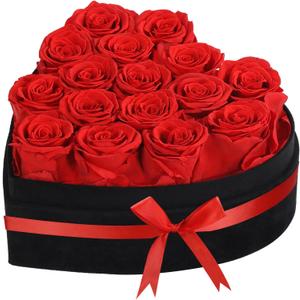Luxury Forever Real Roses in Suede Box - 16-Piece Preserved Flowers Roses Gifts for Delivery Prime Birthday, Valentines's Day, Mother's Day,Anniversary, Graduation Gifts for Her (Red)