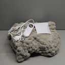 Eastsora Heated Blanket Flannel Blanket Throw, 50"X 60"Electric Heating Blanket with ETL & FCC & 12 Heating Levels & Auto Shut OffMachine Washable (Light Gray)