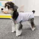 Dog Recovery Suit Post Surgery Shirt for Puppy, Wound Protective Clothes for Little Animals(Pink Blue Stripe-l) (L)