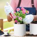 Meowell 12/10/8 inch Large Plant Pots, 3 Pack Deep Cylinder Flower Pots for Outdoor Indoor Plants, Tall Plastic Planters with Drainage Holes and Saucers for Garden House Plants, White