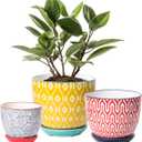 Selamica Ceramic Plant Pots, Indoor Flower Pots for Indoor Plants, 3.5+4.6+5.5 Planters with Drainage Hole & Saucer, Set of 3, Home Decor, Assorted Colors