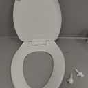 American Standard 5503A00B.020 Transitional Elongated Toilet Seat Soft Close, White