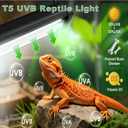 T5 HO UVB Lighting Kit, 8W Terrarium Hood with Detachable Curved Reflector, Desert 10.0 UVB T5 Lamp (24 Watts)