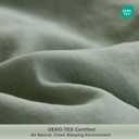 TOSMO 100% Linen Pillowcase Queen Size, Set of 2, Stone Washed Pillowcases Envelope Closure, Soft and Durable Pillow Cases, 20" X 30", Sage Green