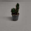 Artificial Succulent Plants,Fake Cactus Decorative Plants - Artificial Cacti with Gray Pots Planters,Artificial Faux Cactus for Home Dcor House Office Ornaments