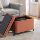 Studio Living Connor 24" Small Storage Ottoman, Modern Boho, Matte Black Metal Legs, Velvet Fabric, Rust (16"D x 24"W x 18"H)
