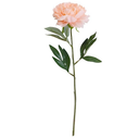 Elements Blush Peony Artificial Flower Stem, Fake Flowers for Home Decoration, 6x3.5x18 Inch