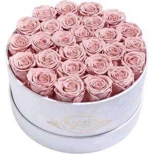 Prifroti 27 Flowers in a Luxury Suede Box, Birthday Gifts for Women, Preserved Flowers, Mothers Day Roses Gift for Mom, Dusty Rose