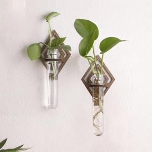 2 Pack Plant Propagation Station Wall Hanging Wooden Diamond Shaped Plant Terrarium for Hydroponics Home Office Decor Test Tube Propagate Air Plant Cutting Holder